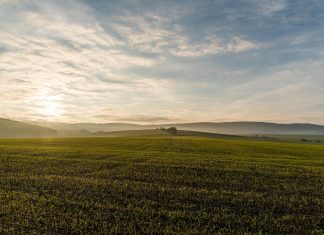 פסק דין: רוקח יפצה חקלאי על כך שהאשים אותו שהריסוסים שהוא מבצע בשדות גורמים למחלות