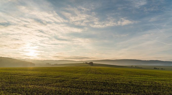פסק דין: רוקח יפצה חקלאי על כך שהאשים אותו שהריסוסים שהוא מבצע בשדות גורמים למחלות