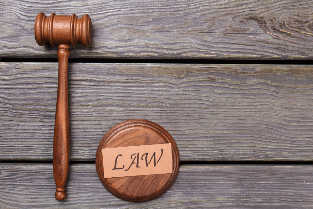 קרדיט תמונה FREEPIK